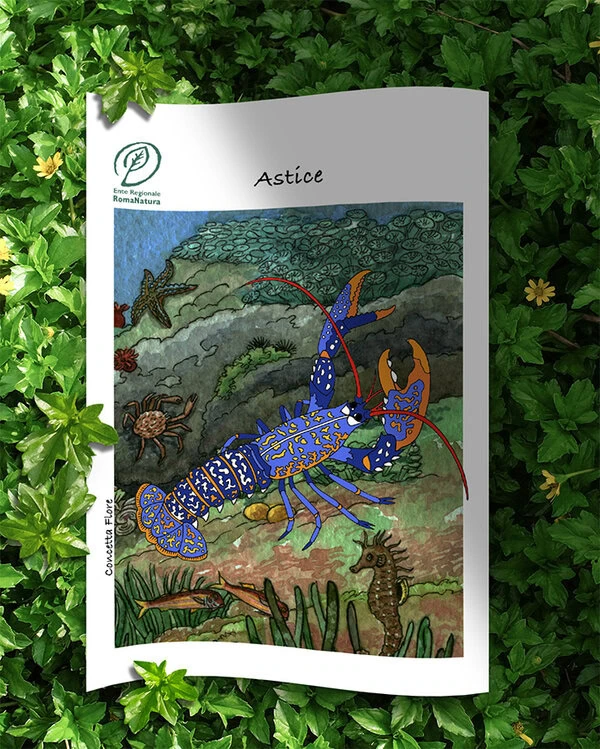 colora-la-natura-di-roma-astice